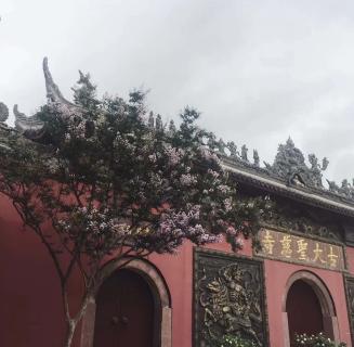 青崖娱乐：助力公益活动建设，实现经济效益与社会效益的双赢！